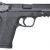 Smith & Wesson M&P SHIELD EZ