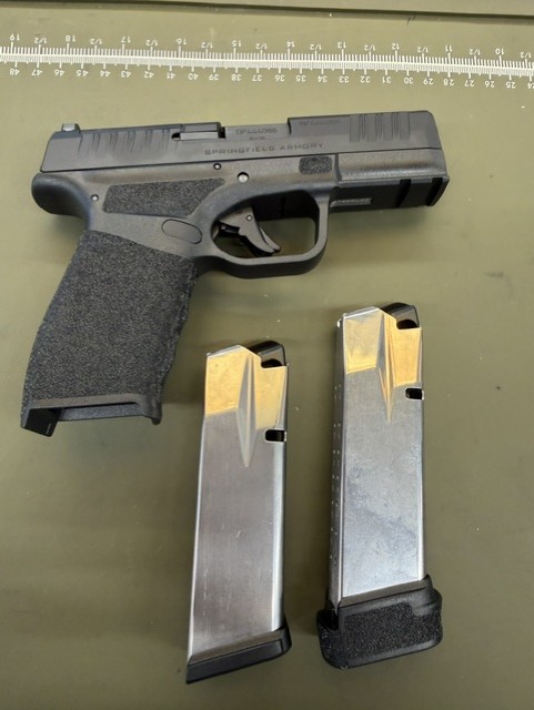 Springfield Hellcat Pro