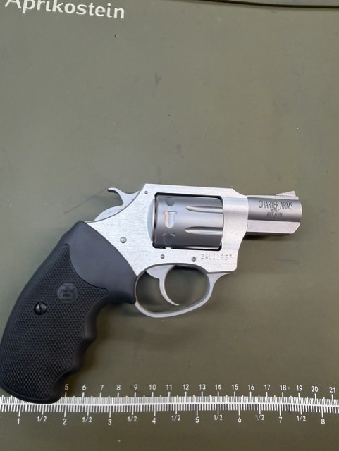 Charter Pathfinder 22 LR